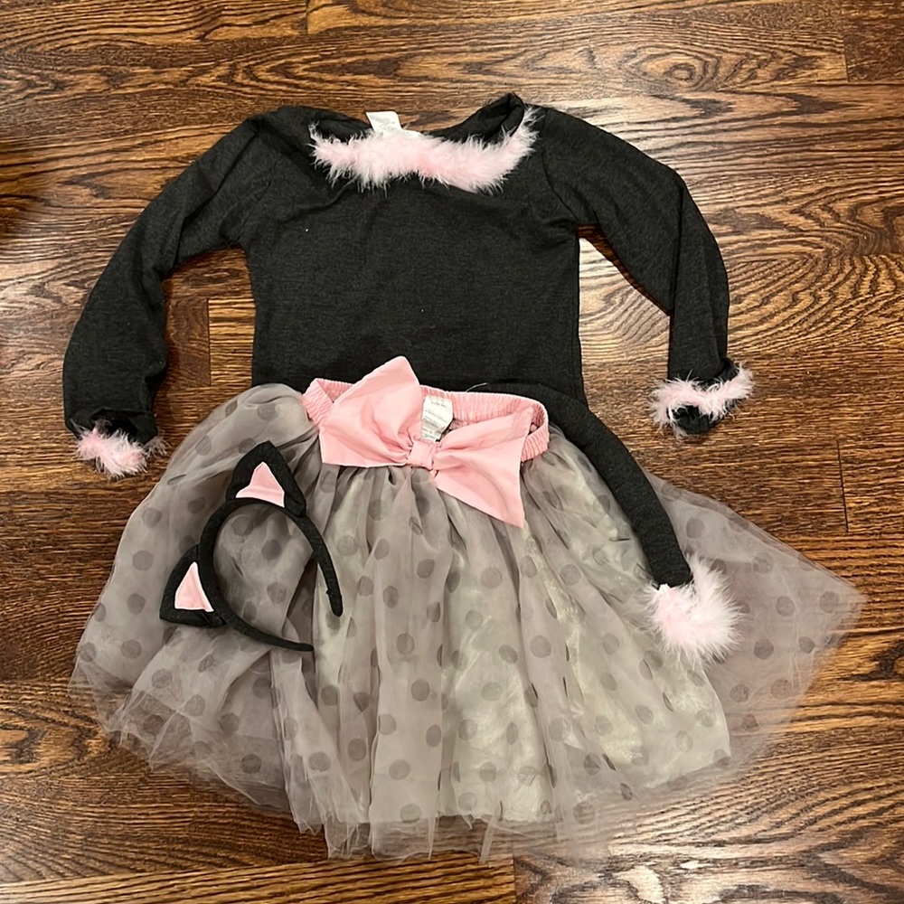 Pottery barn cat costume.